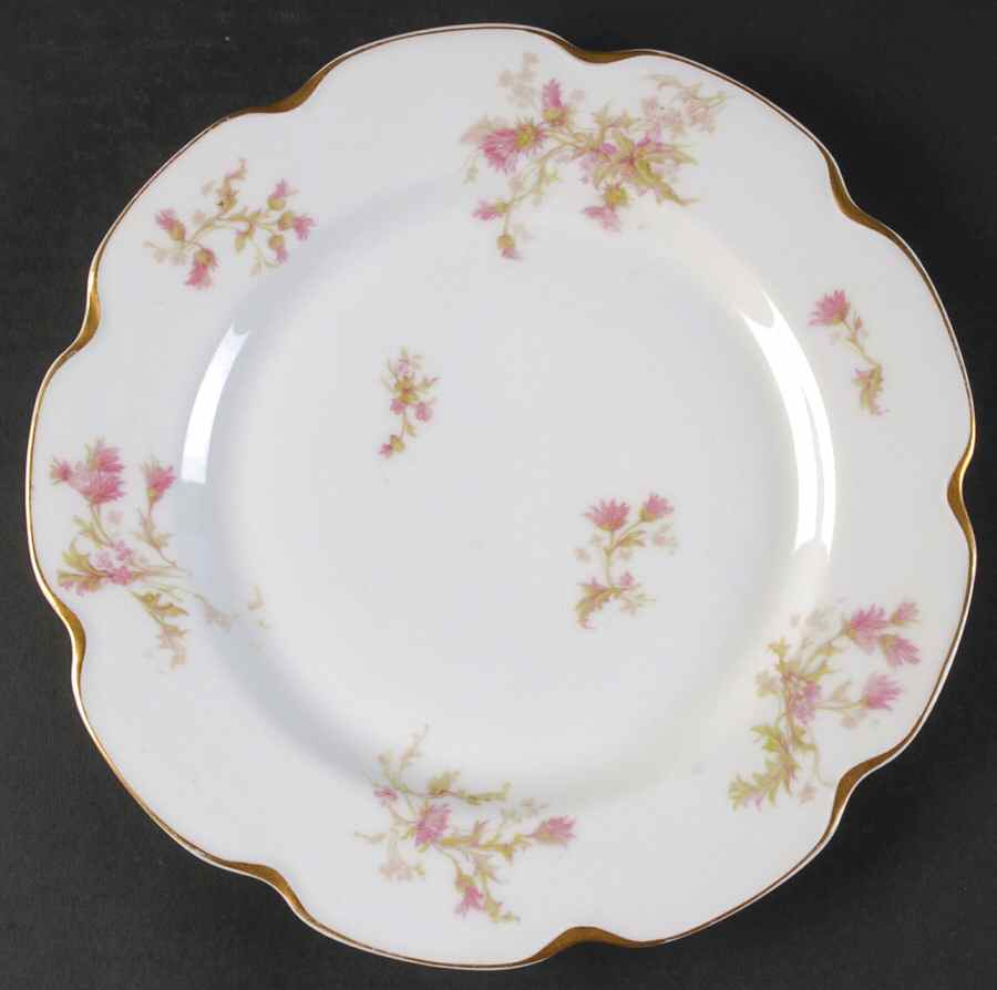 Schleiger 41f Dinner Plate by Haviland-1