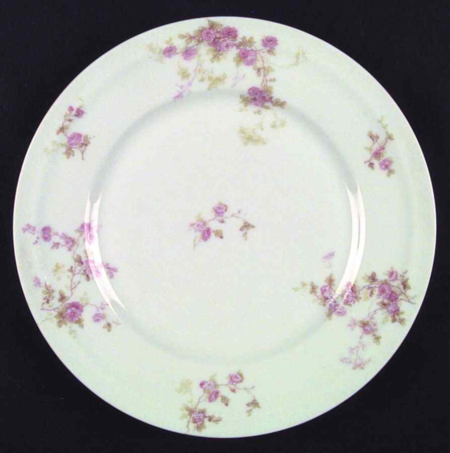 Schleiger 42 Dinner Plate by Haviland-1
