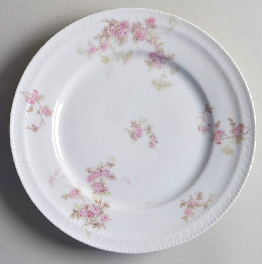 Schleiger 42 Luncheon Plate by Haviland-1