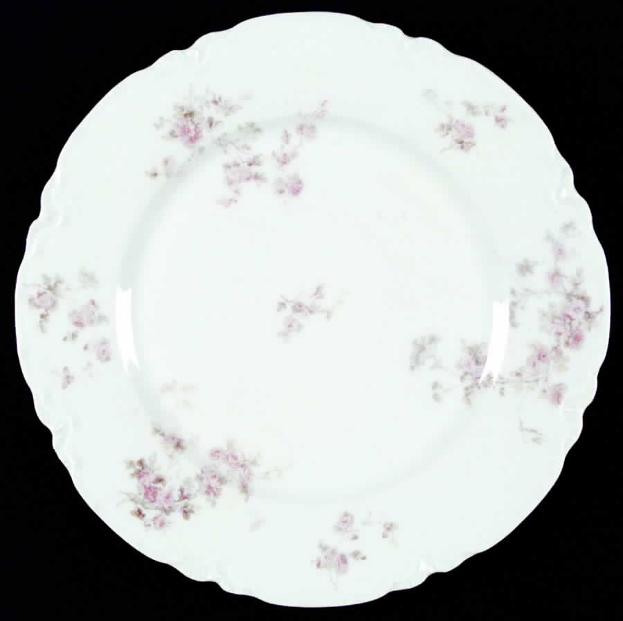 Schleiger 42A Dinner Plate by Haviland-1