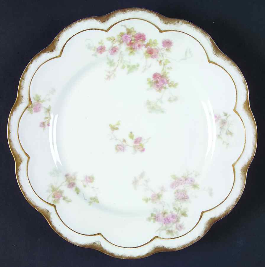 Schleiger 42G Luncheon Plate by Haviland-1