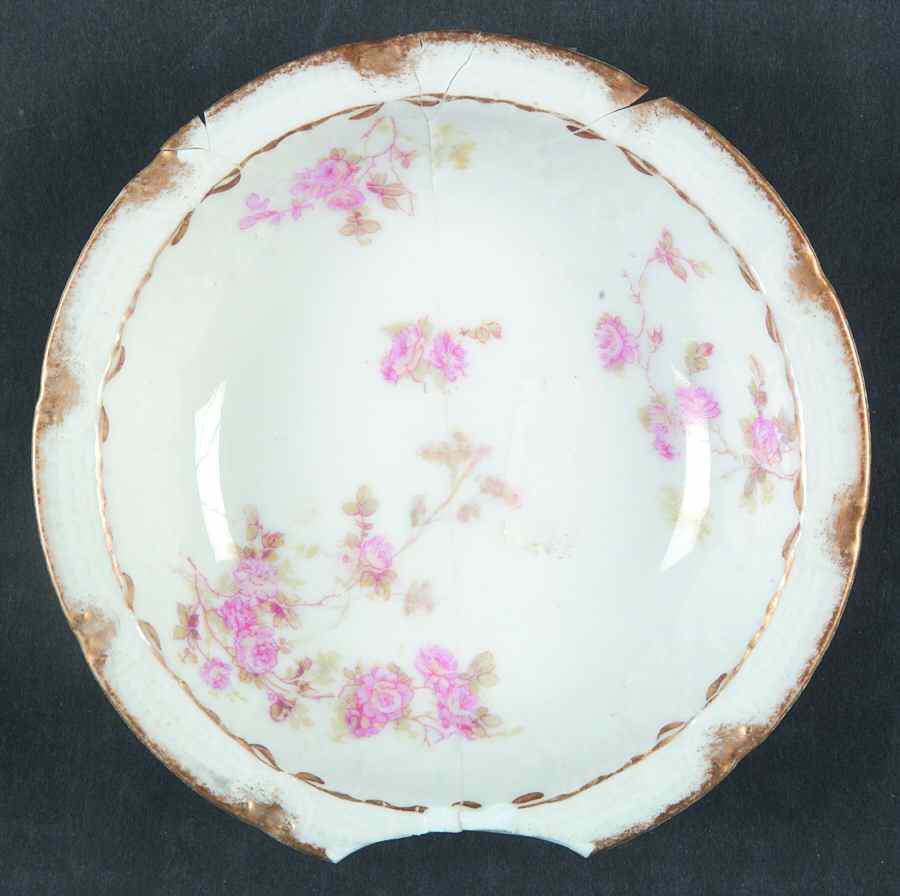 Schleiger 42i Fruit/Dessert (Sauce) Bowl by Haviland-1
