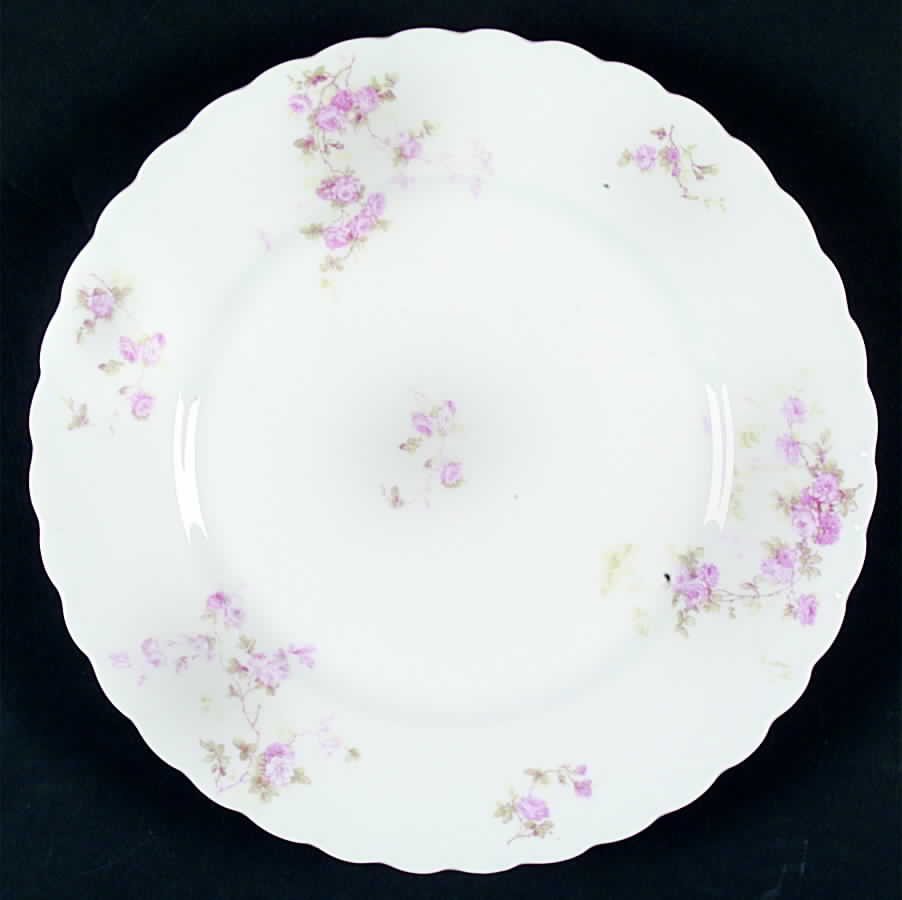 Schleiger 42j Dinner Plate by Haviland-1