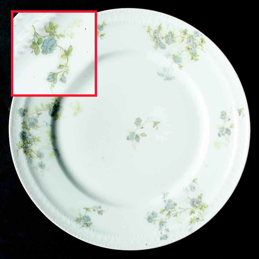 Schleiger 42M Dinner Plate by Haviland-1