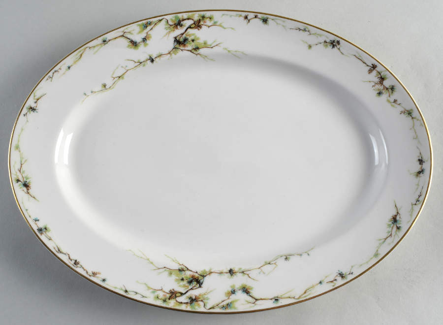 Schleiger 432 14" Oval Serving Platter by Haviland-1