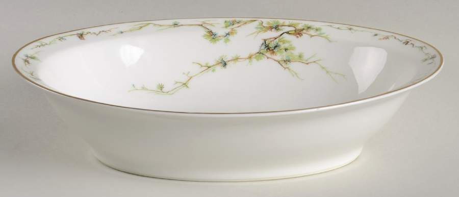 Schleiger 432 10" Oval Vegetable Bowl by Haviland-1