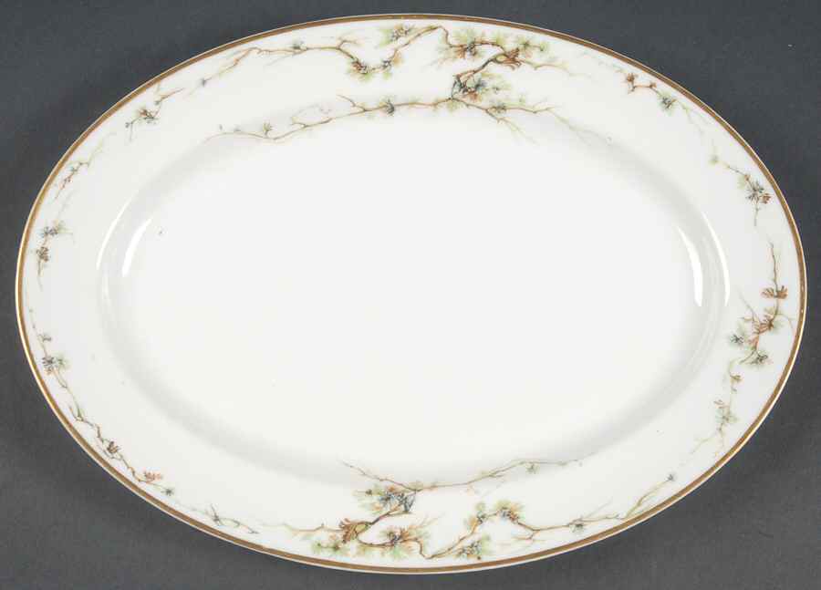 Schleiger 432 11" Oval Serving Platter by Haviland-1