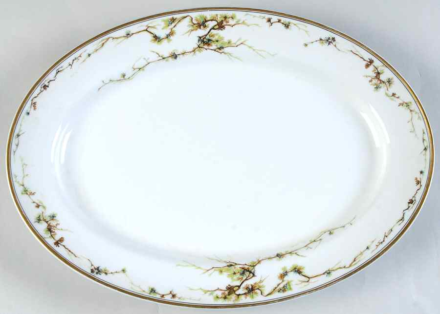 Schleiger 432 13" Oval Serving Platter by Haviland-1