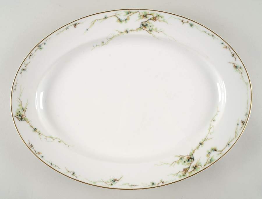 Schleiger 432 16" Oval Serving Platter by Haviland-1