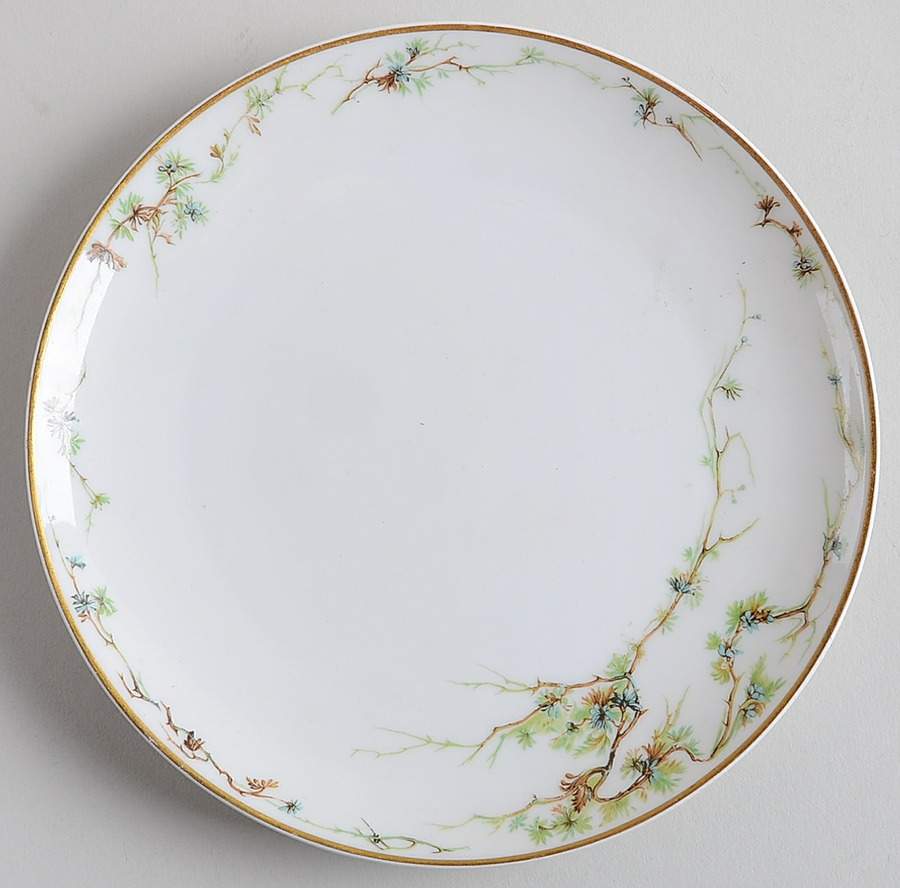 Schleiger 432 Coupe Salad Plate by Haviland-1