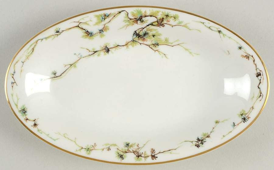 Schleiger 432 Relish by Haviland-1