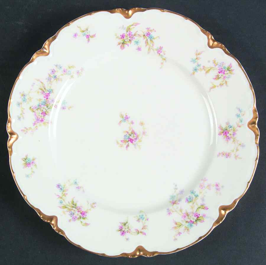 Schleiger 434 Dinner Plate by Haviland-1