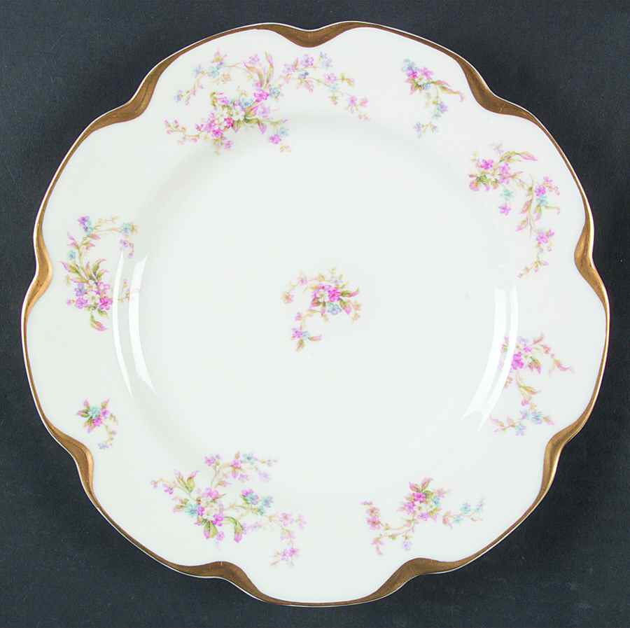 Schleiger 434c Dinner Plate by Haviland-1