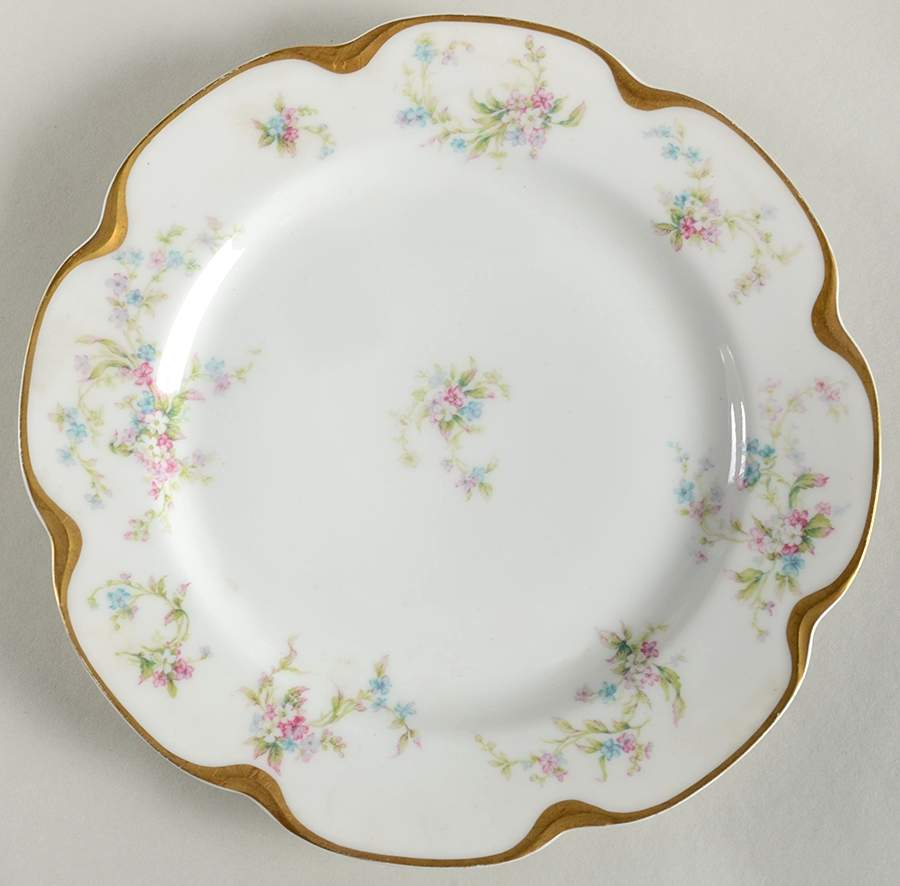 Schleiger 434c Luncheon Plate by Haviland-1