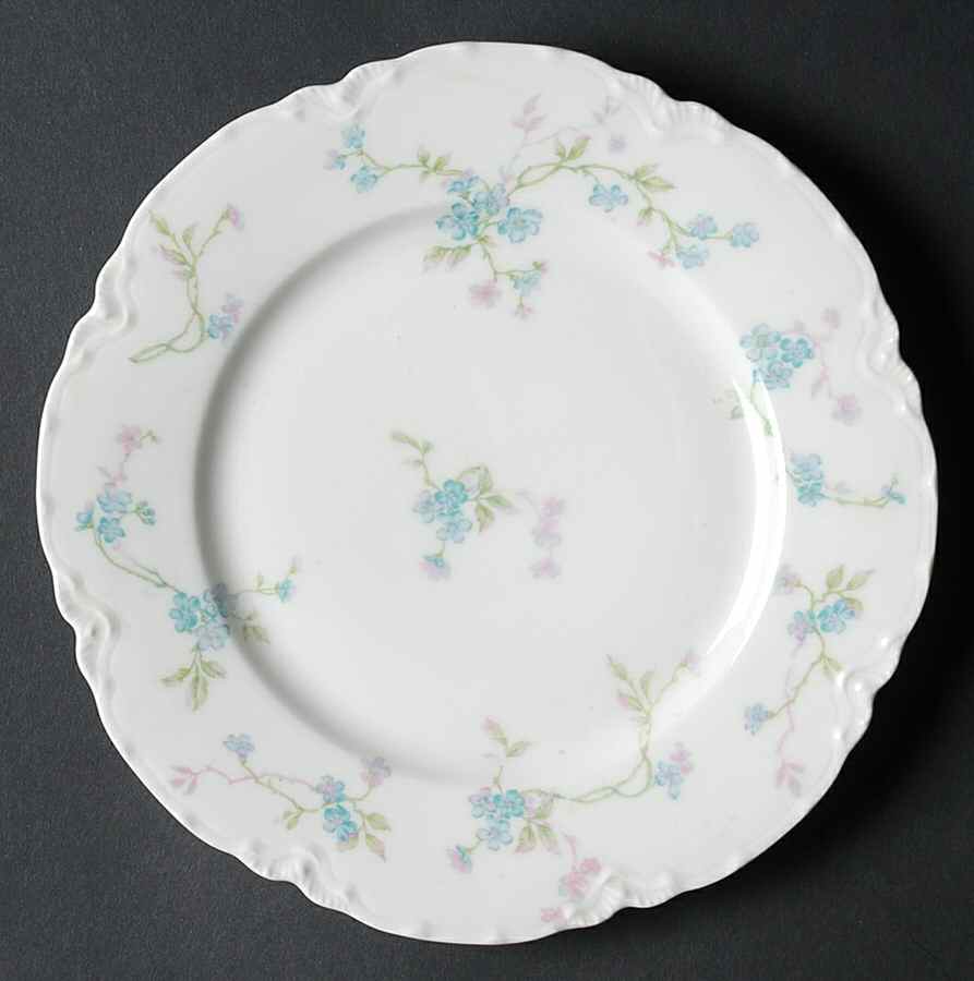Schleiger 441b Salad Plate by Haviland-1