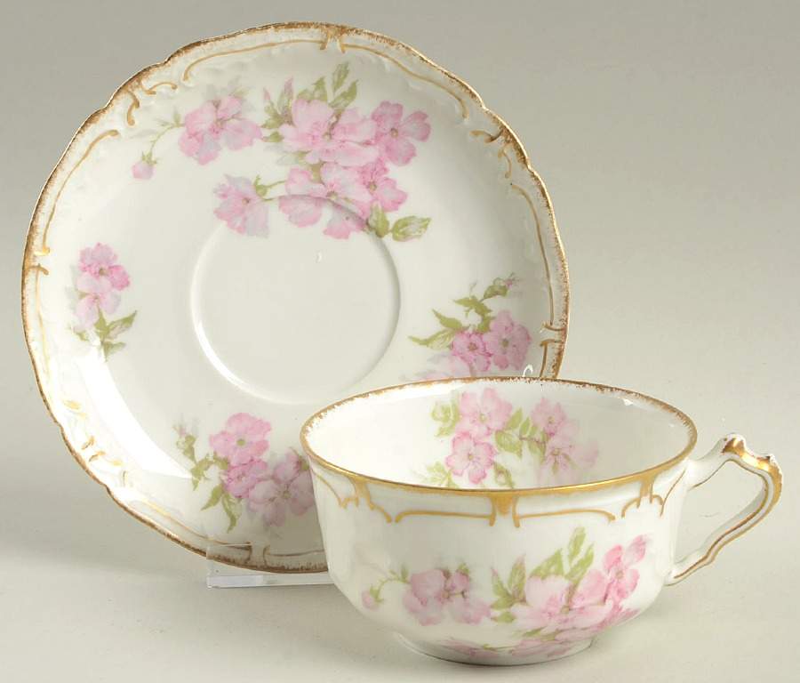 Schleiger 442d Flat Cup & Saucer Set by Haviland-1