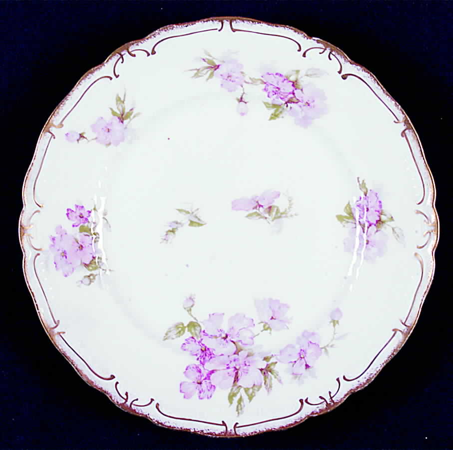 Schleiger 442d Salad Plate by Haviland-1