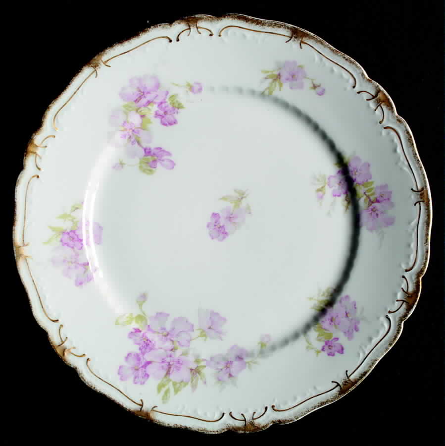 Schleiger 442d Luncheon Plate by Haviland-1