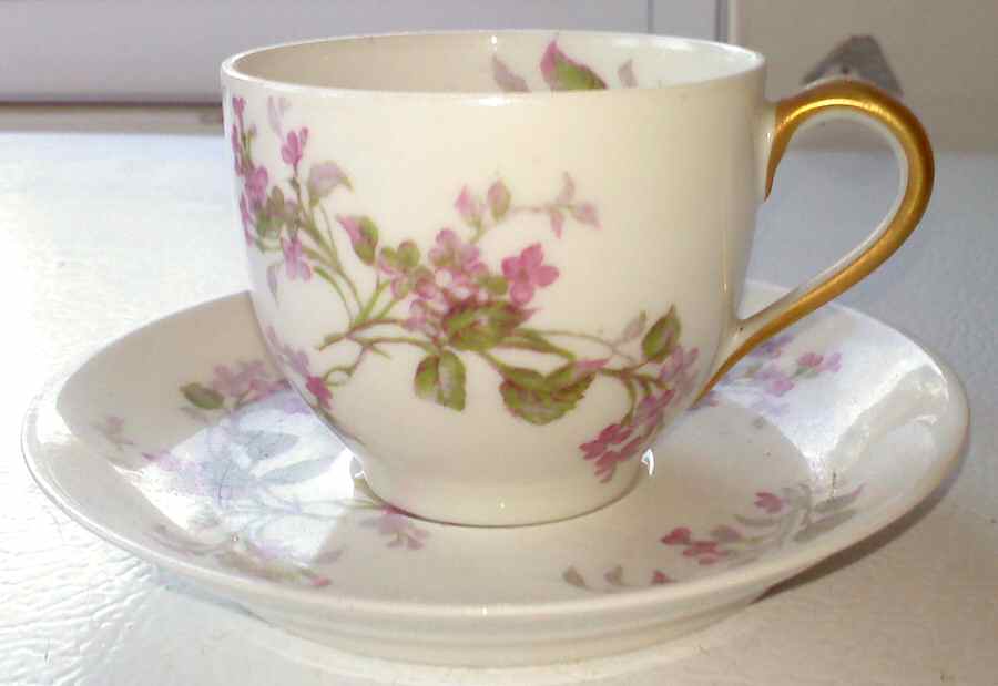Schleiger 444h Footed Demitasse Cup & Saucer Set by Haviland-1