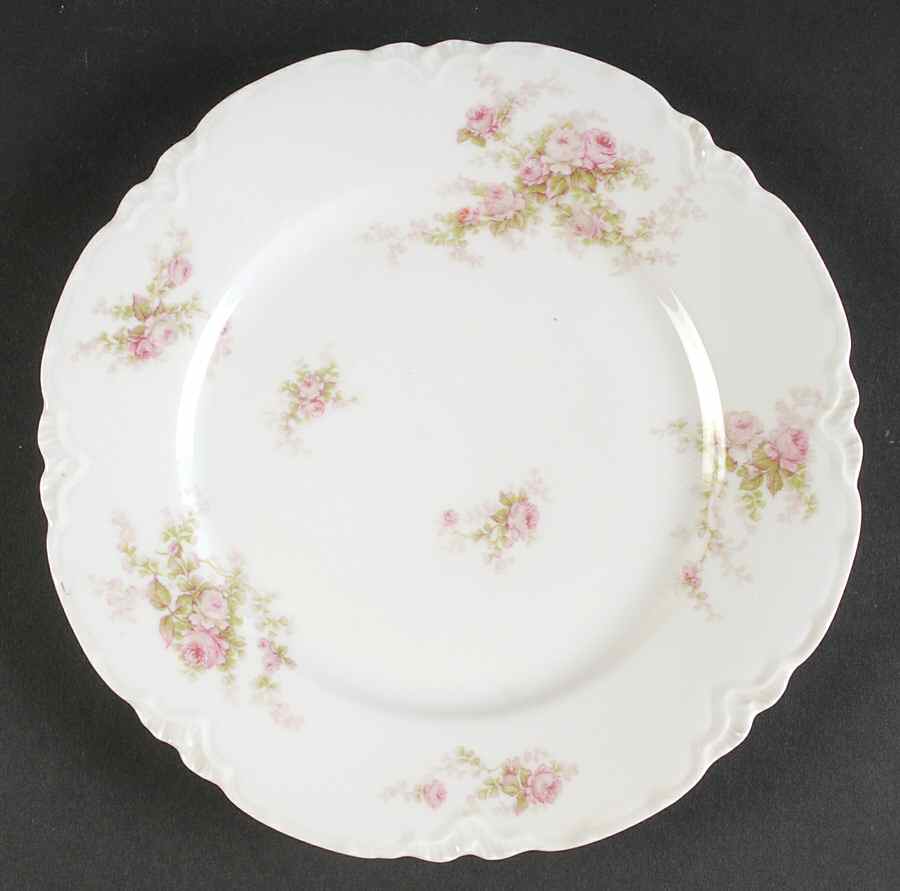 Schleiger 456 Luncheon Plate by Haviland-1
