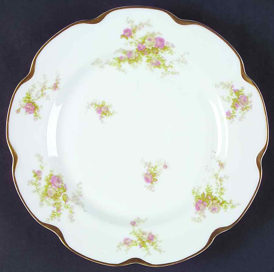Schleiger 456a Dinner Plate by Haviland-1