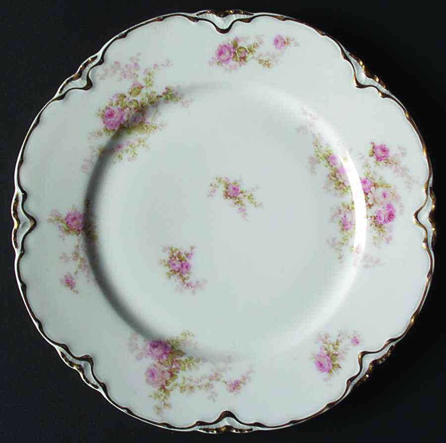 Schleiger 456d Luncheon Plate by Haviland-1