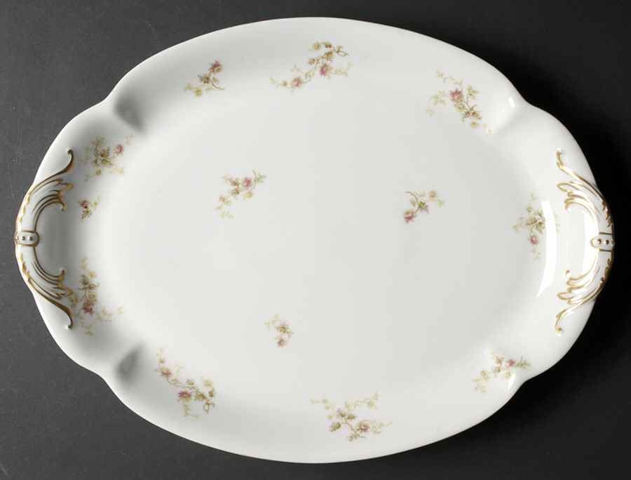 Schleiger 458 16" Oval Serving Platter by Haviland-1