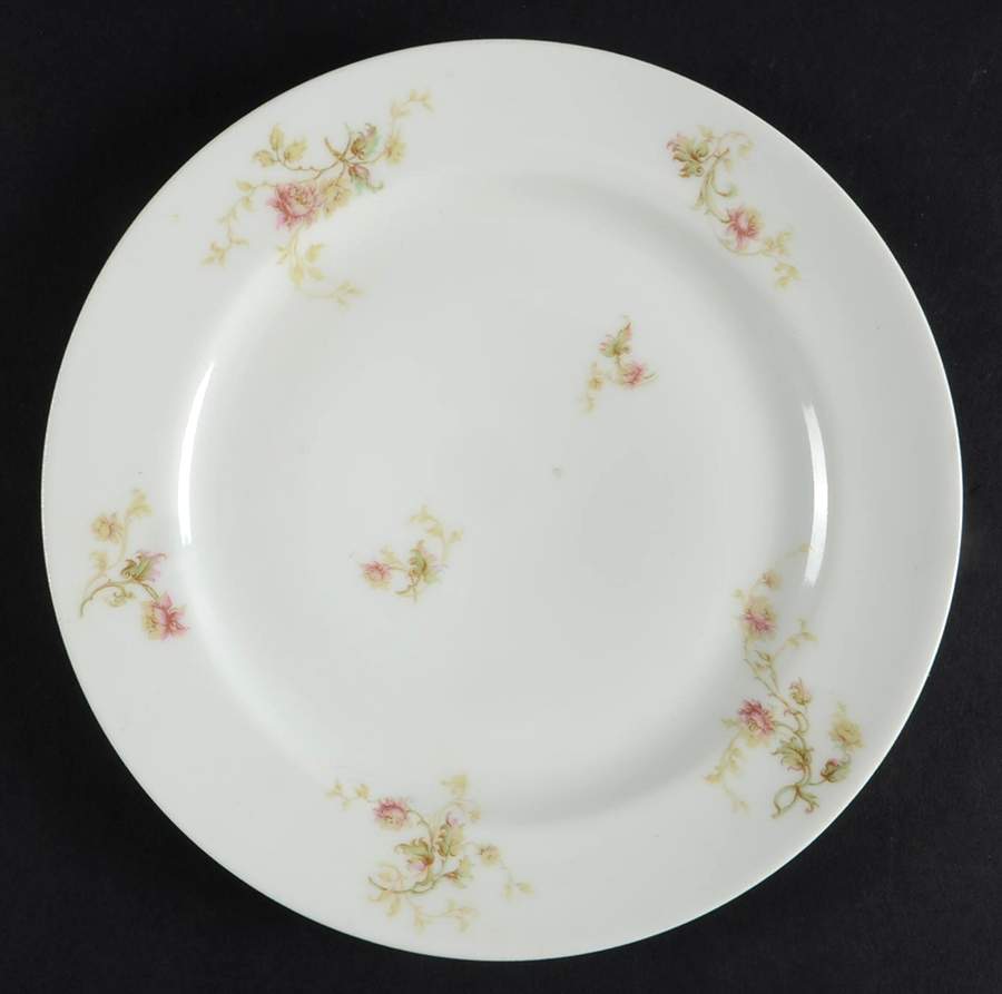 Schleiger 458 Salad Plate by Haviland-1