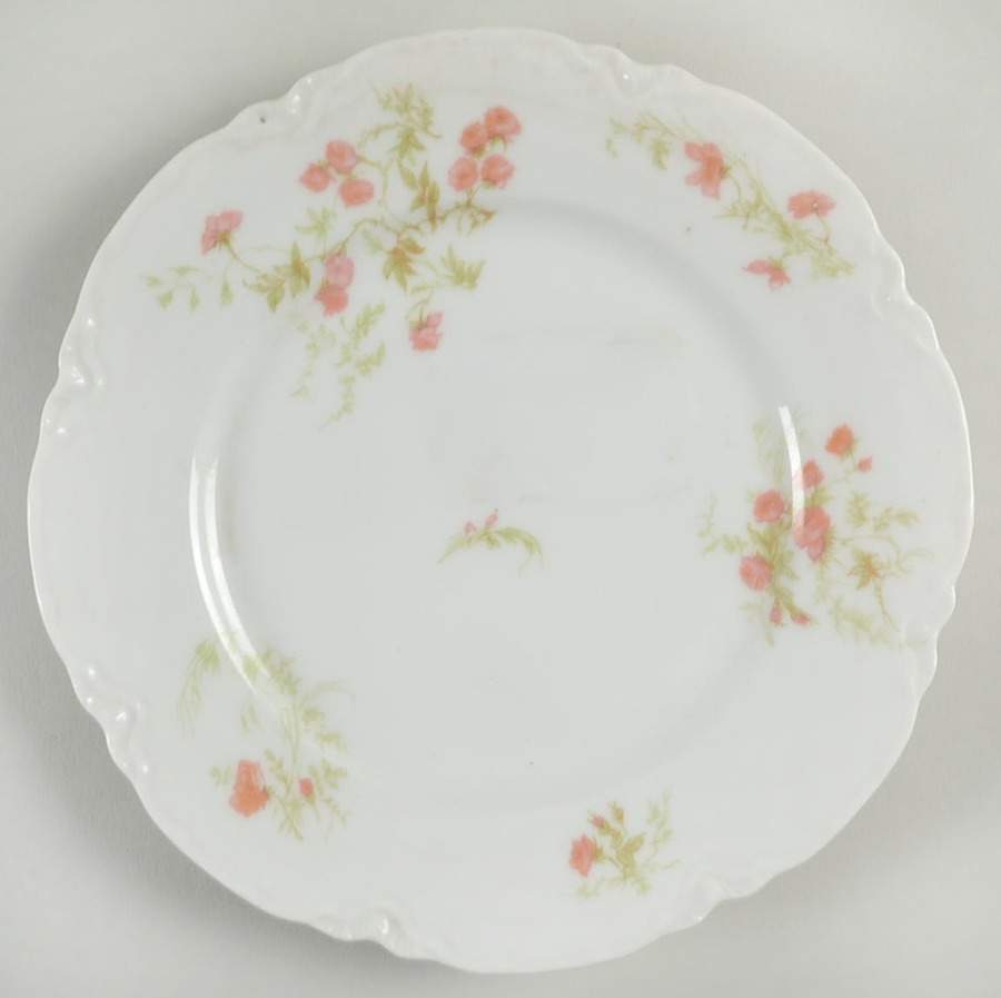 Schleiger 459C Salad Plate by Haviland-1