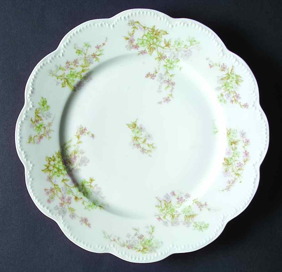 Schleiger 45A Dinner Plate by Haviland-1