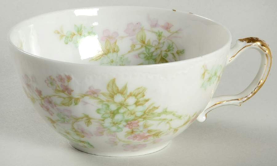 Schleiger 45A Flat Cup by Haviland-1