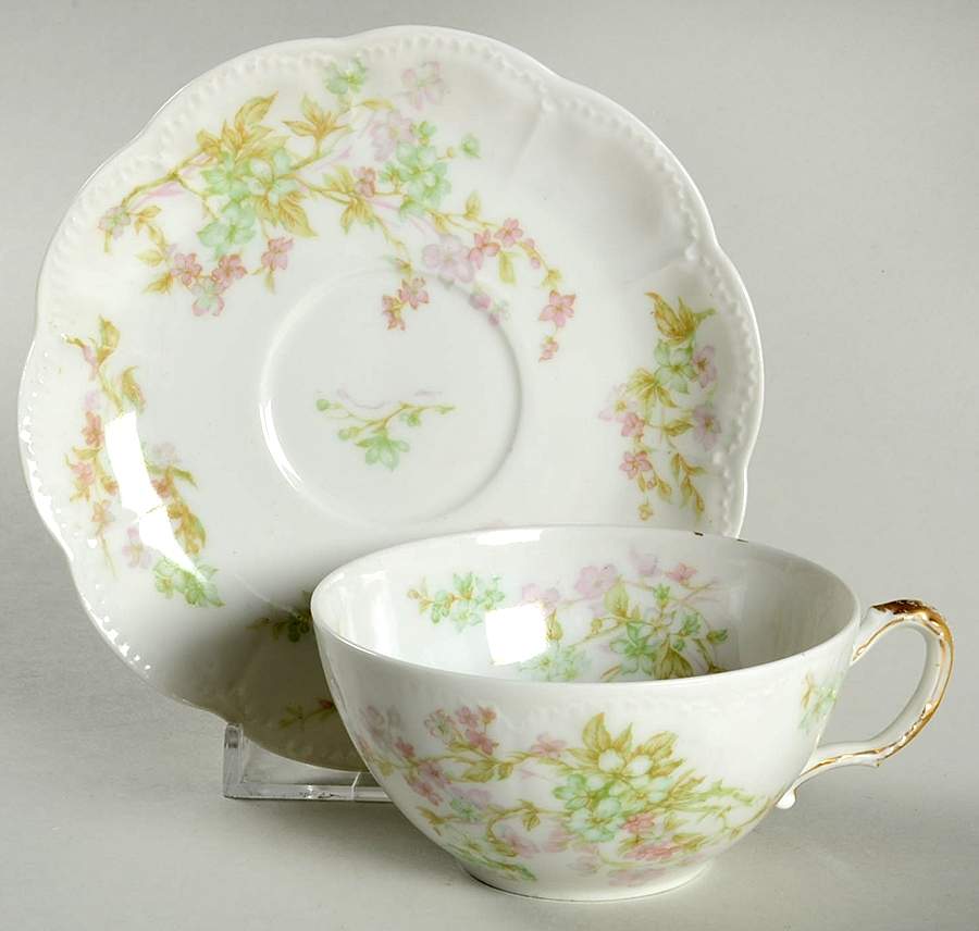 Schleiger 45A Flat Cup & Saucer Set by Haviland-1