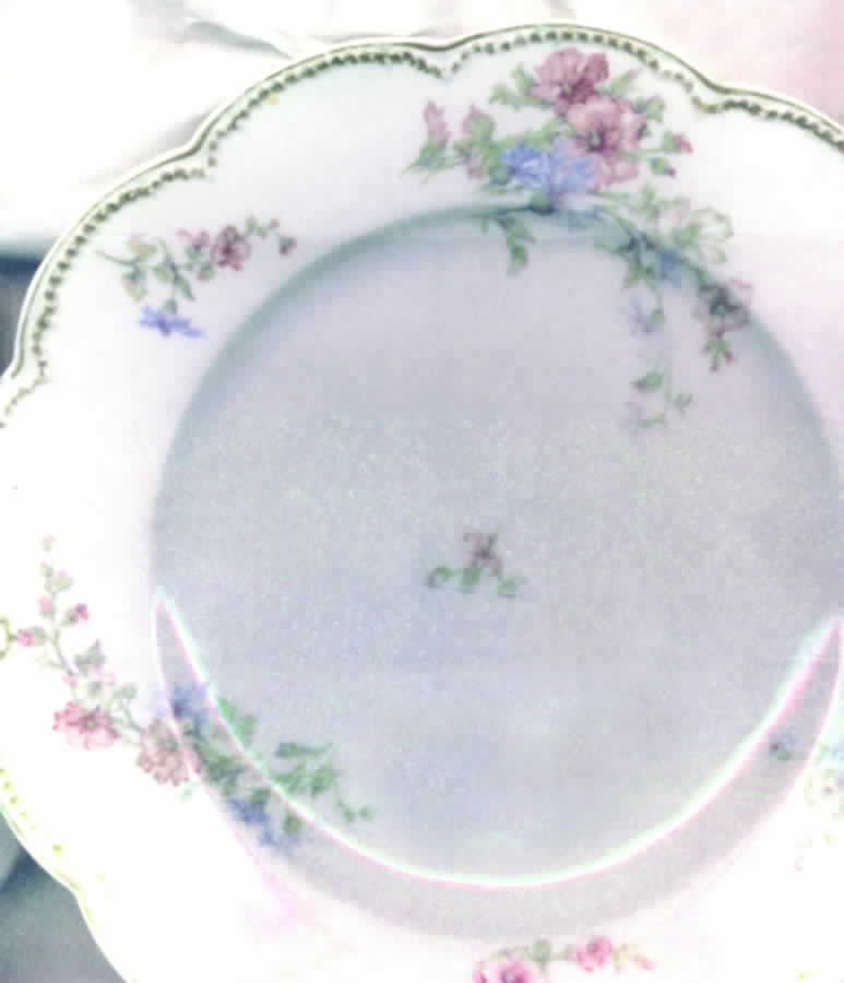 Schleiger 46d Dinner Plate by Haviland-1