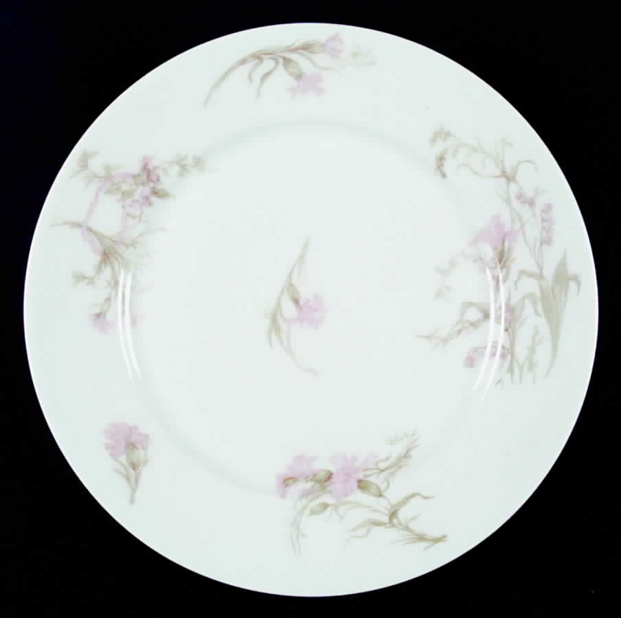 Schleiger 472f Dinner Plate by Haviland-1