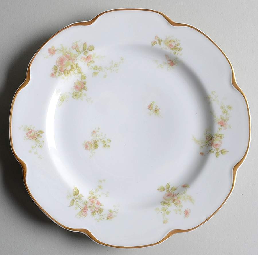 Schleiger 49 Salad Plate by Haviland-1