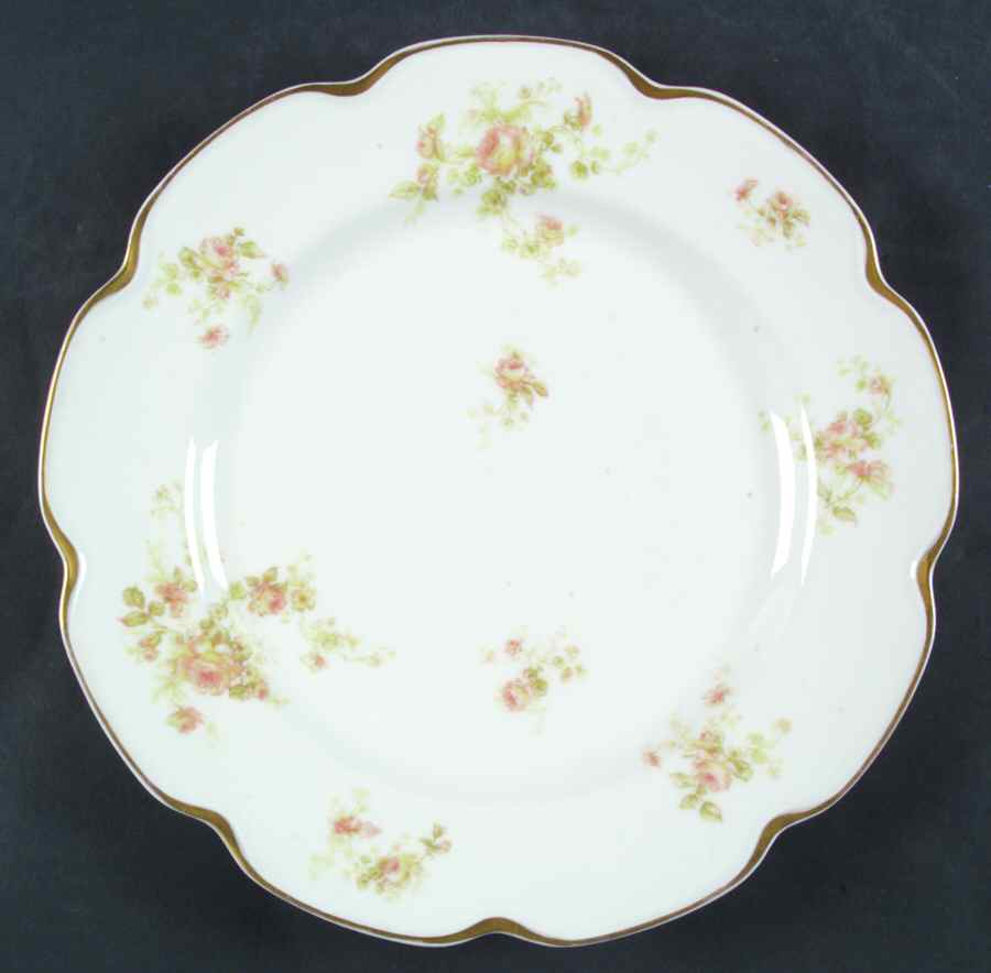 Schleiger 49 Dinner Plate by Haviland-1