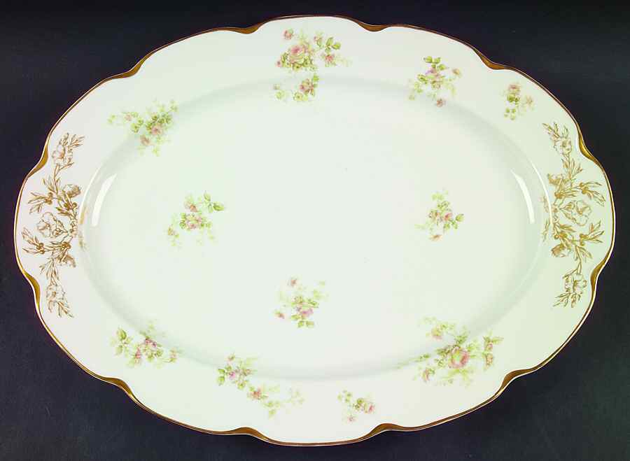 Schleiger 49 16" Oval Serving Platter by Haviland-1