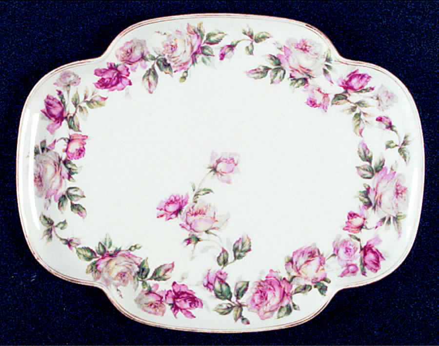Schleiger 497 Pin Tray by Haviland-1