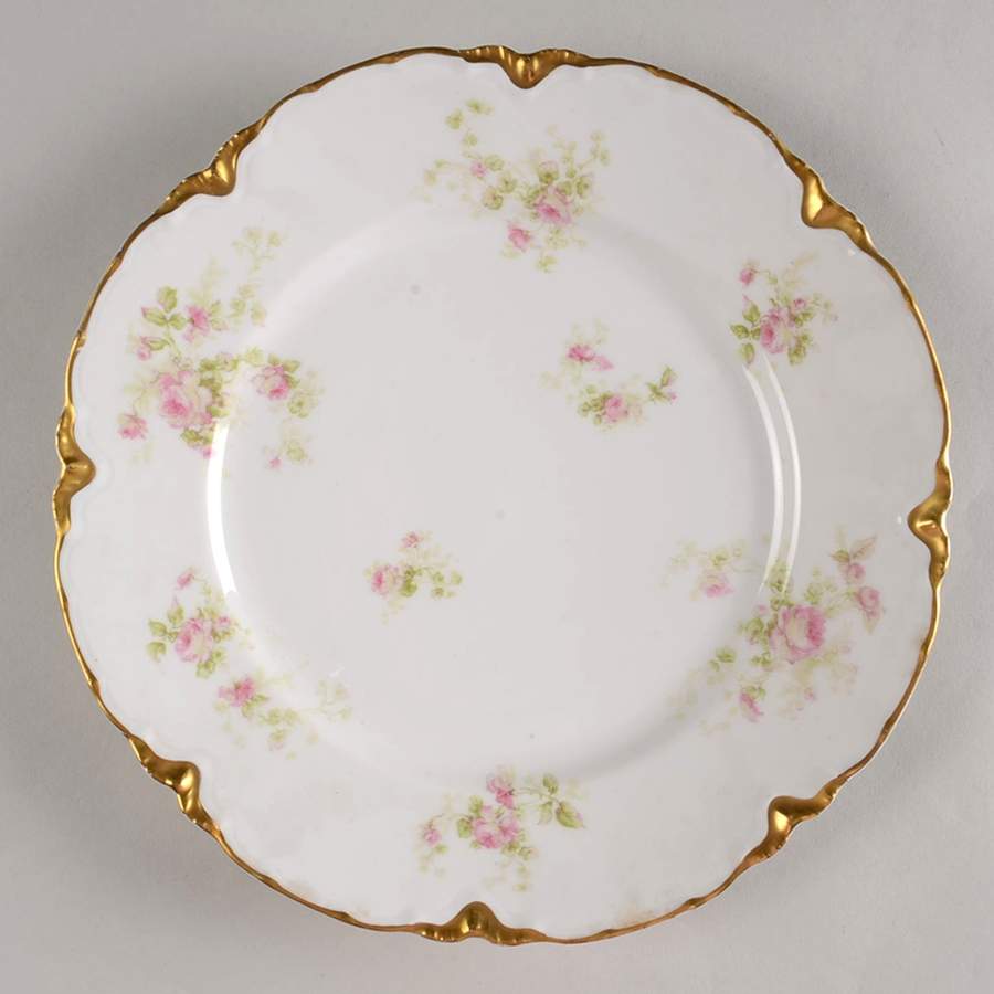 Schleiger 49c Dinner Plate by Haviland-1