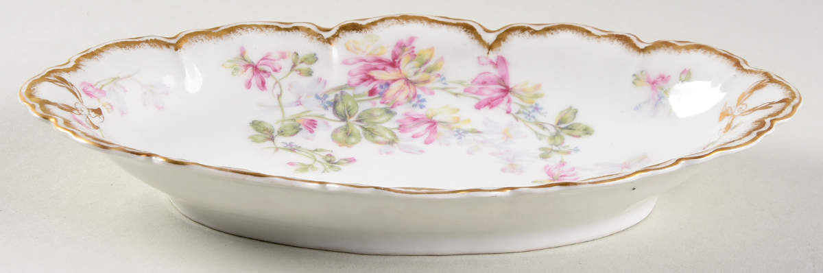 Schleiger 50 Relish by Haviland-1