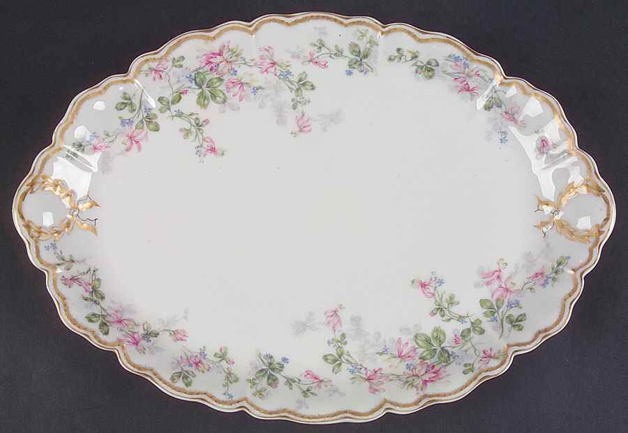 Schleiger 50 14" Oval Serving Platter by Haviland-1