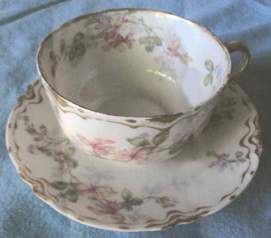 Schleiger 50a Flat Cup & Saucer Set by Haviland-1