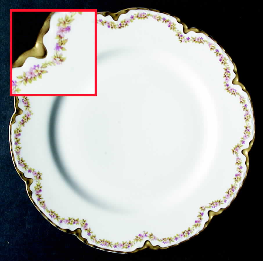 Schleiger 524A Dinner Plate by Haviland-1