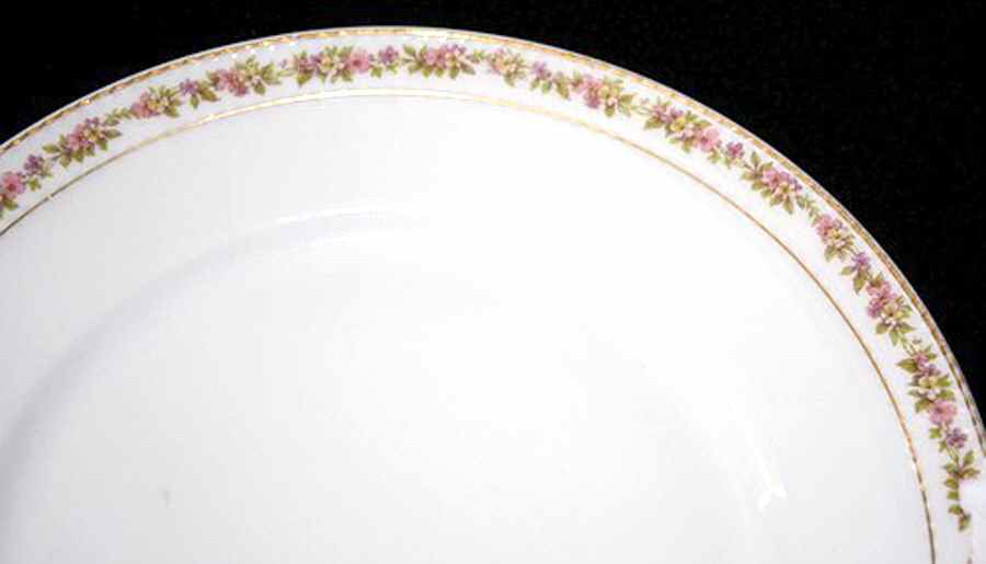 Schleiger 524J Dinner Plate by Haviland-1