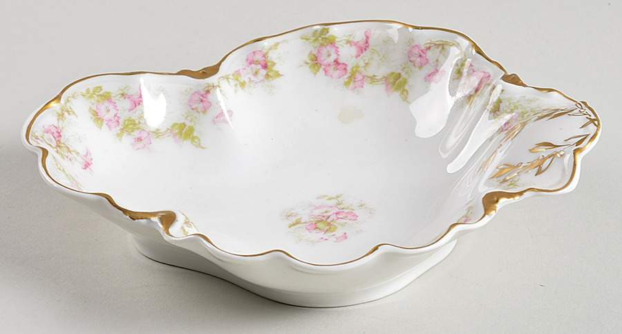 Schleiger 525 Relish by Haviland-1