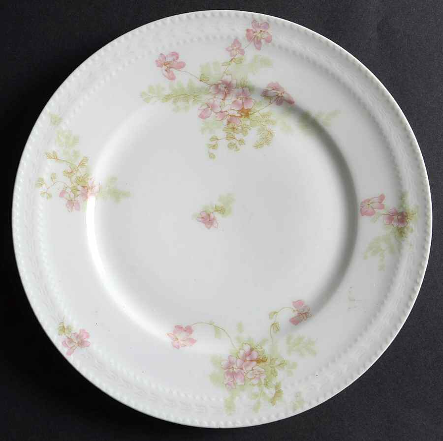 Schleiger 52q Salad Plate by Haviland-1