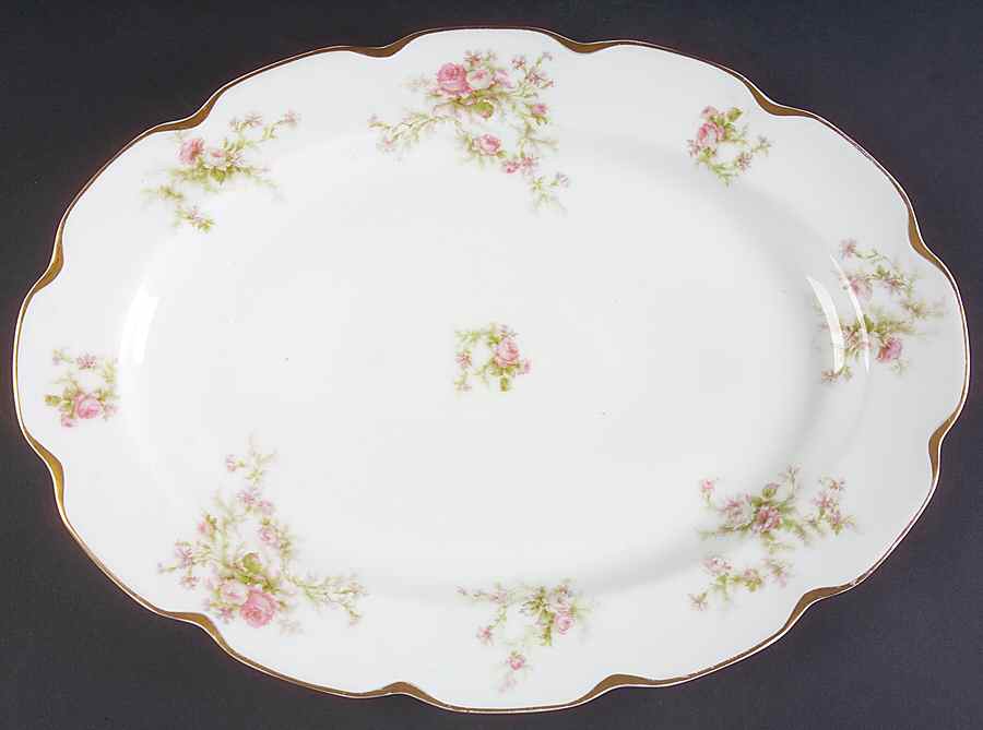 Schleiger 53 14" Oval Serving Platter by Haviland-1