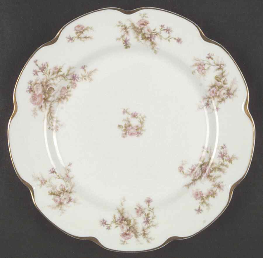 Schleiger 53 Dinner Plate by Haviland-1