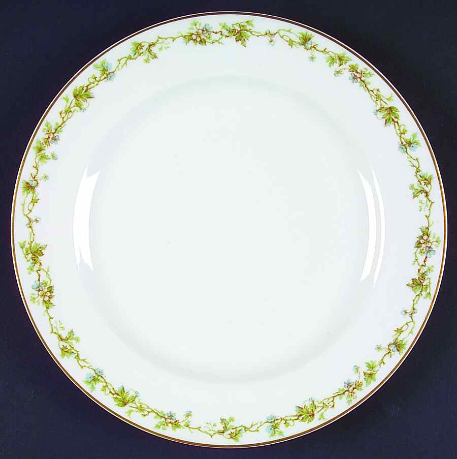 Schleiger 538b Luncheon Plate by Haviland-1