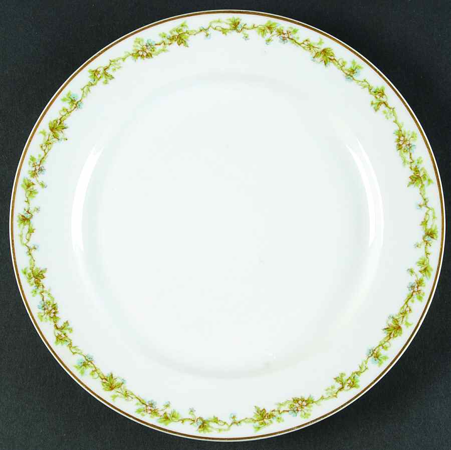 Schleiger 538b Dinner Plate by Haviland-1